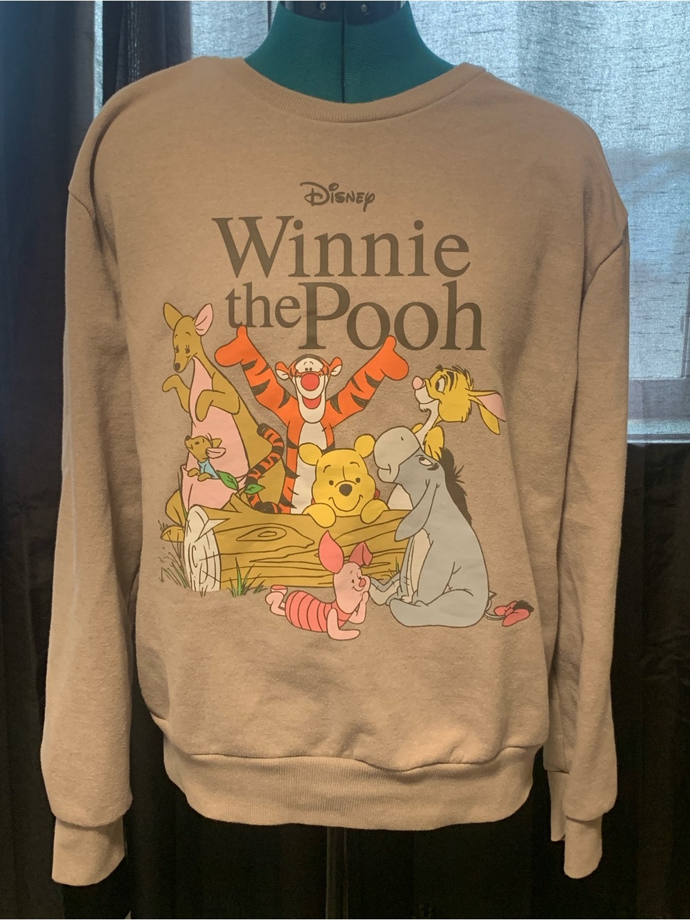Disney Winnie the Pooh Crewneck Sweatshirt - Taupe with Multicolor Characters